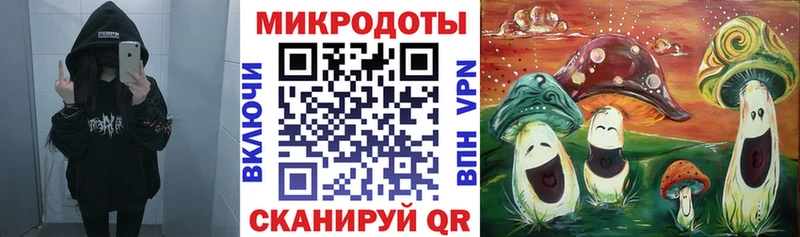 Купить закладки  Оса  Псилоцибиновые грибы GOLDEN TEACHER 