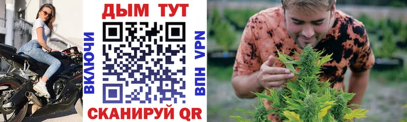 МАРИХУАНА OG Kush  Купить закладки  Оса 